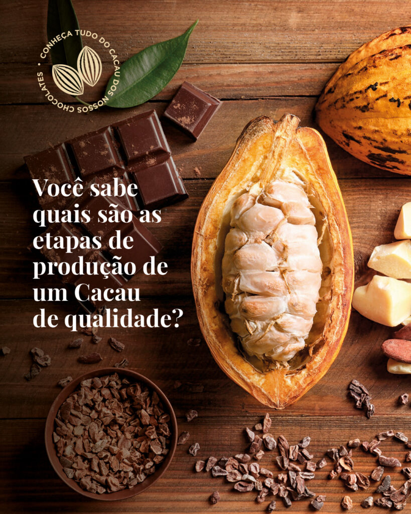 Redes Sociais da Mago Chocolates